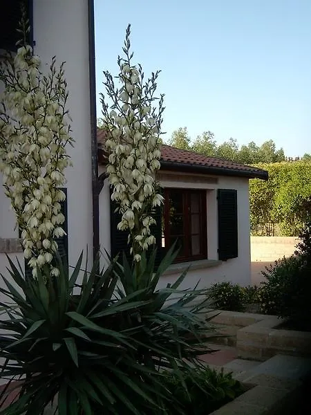 Fattoria La Steccaia Villa Riparbella Farm stay